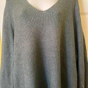 NWT J Jill V neck sweater